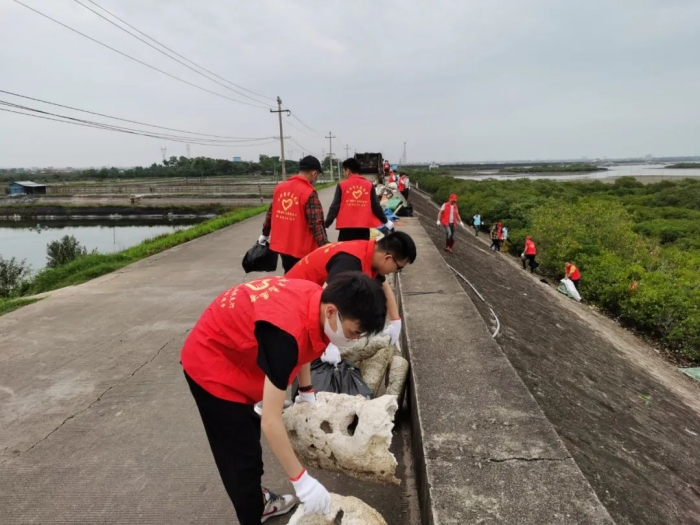 東興環(huán)保水務(wù)公司青年志愿者參加保護紅樹林活動